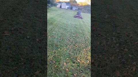 13 year old Turf Tracer still laying them stripes #oldfaithful #exmark #mowing #stripes