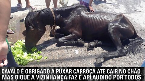 Cavalo é obrigado a puxar carroça até cair no chão. Mas o que a vizinhança faz é aplaudido por todos