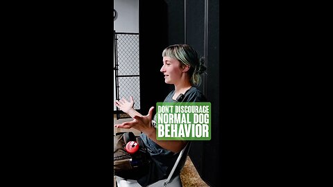 Don’t Discourage Normal Dog Behavior