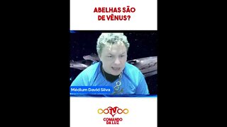 Abelhas são de Vênus? #shorts