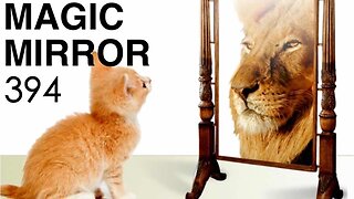 Magic Mirror 394 - Exhibit B