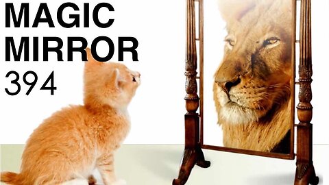 Magic Mirror 394 - Exhibit B