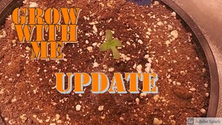 Grow with Me EP 2 Update