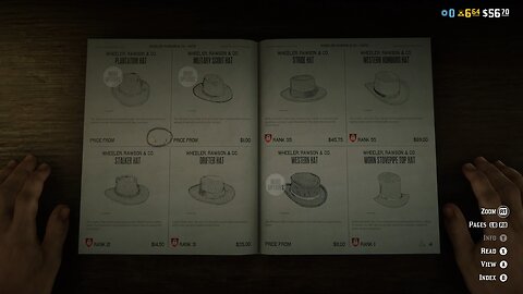 RDR:O NPC references hidden detail in-game