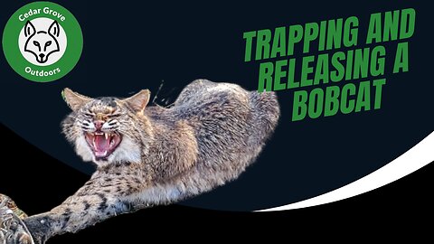 S.2 E.7 Trapping and Releasing a Bobcat