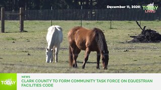 Clark County to form community task force on equestrian facilities code