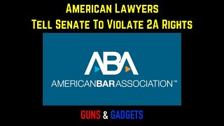 American Bar Association Tells Senate To Violate 2A Rights