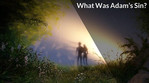 What Was Adam's Sin?