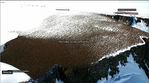 Ancient Giant Tree Stumps Petrified - Antarctica!