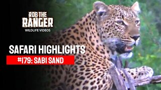 Safari Highlights #179: 07 - 10 December 2012 | Sabi Sand Nature Reserve | Latest Wildlife Sightings