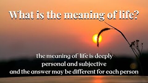 What is the meaning of life? Is there any real meaning in life?