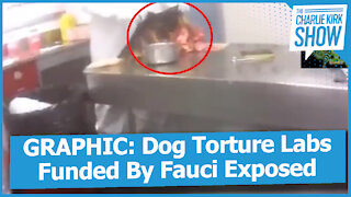 GRAPHIC: Dog Torture Labs Funded By Fauci Exposed
