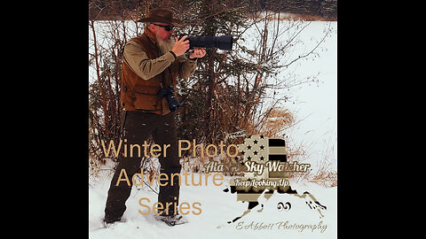 Winter Wildlife Photography