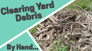 Clearing Yard Debris by Hand