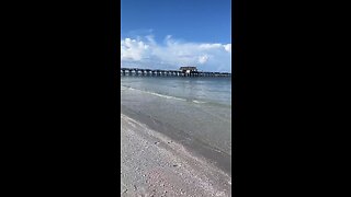 Livestream Clip - Lowdermilk Beach To Naples Pier Before Ian PT 4