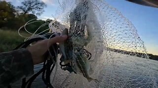 smallest catch on the fly rod: cast netting as well