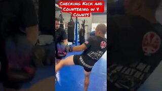 Checking and Countering Kicks w 4 Counts
