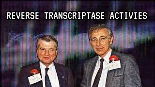 Reverse Transcriptase Activities