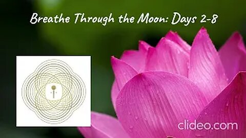 Breathe Through the Moon: Days 2-8