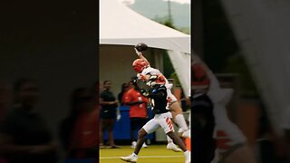 Trenton Irwin INSANE one handed catch at Bengals training camp