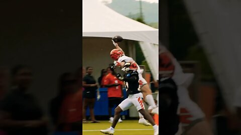 Trenton Irwin INSANE one handed catch at Bengals training camp