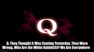 Q Drop: Who Are The White Rabbit? We Are Everywhere!