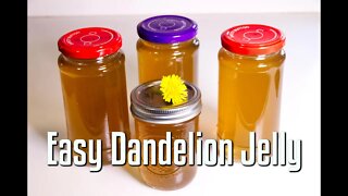 Making Dandelion Jelly - Taste of Summer