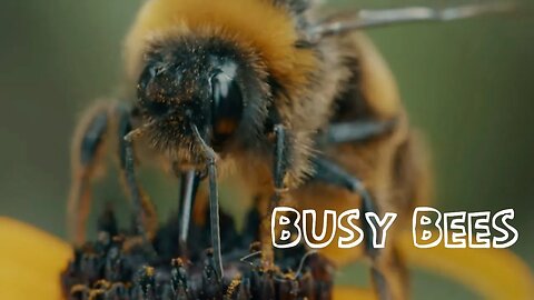 The Busy Bees: Watch Them Make Honey And Pollinate The Trees And Flowers