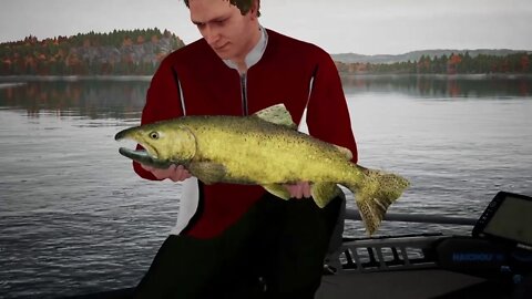 Fishing Sim World level 19 part 1 Big Salmon!