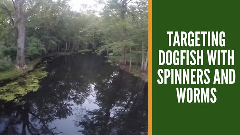 Targeting Dogfish With Spinners And Worms / Bowfin Fishing Michigan Rivers / Michigan River Fishing