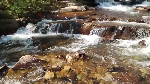 THE SINGING OF NATURE - SOUND OF NATURE RELAXATION MEDITATION