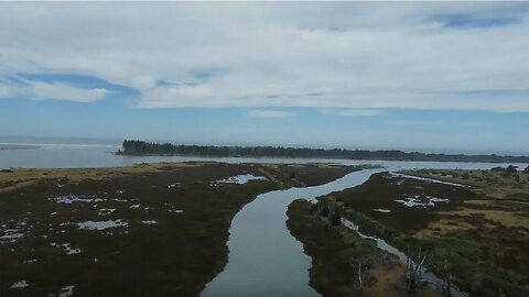 Where River Meets The Sea | Nature Walks and Reflections | Taking Things Slow