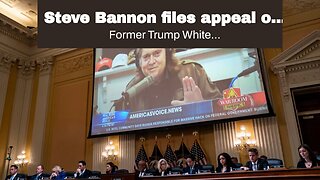 Steve Bannon files appeal of congressional contempt conviction