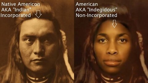 Indigenous Is American Not Native Ameri-Con or Indian