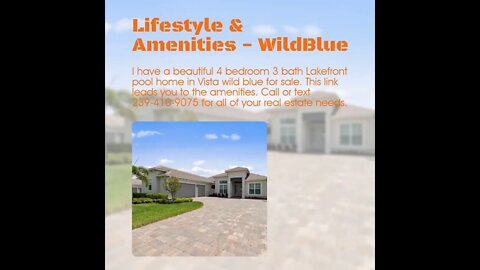 Lifestyle & Amenities - WildBlue