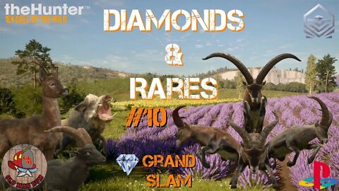 Diamond & Rare montage #10 Console theHunter Call of the Wild
