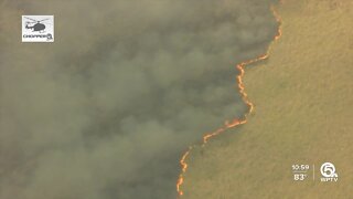 More than 9,000 acres burn in Everglades wildfires