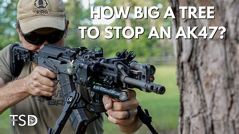 How big of a tree does it take to stop an AK47? Cover vs concealment