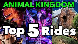 Top 5 Animal Kingdom Rides