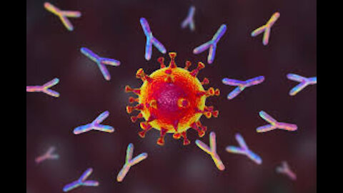 What are monoclonal antibodies and can they treat coronavirus (Covid-19)