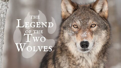 The Legend of the Two Wolves || FORGOTTEN AMERICAN LEGENDS