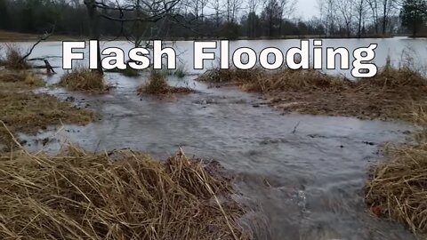 Flash Flooding! Did the New Road culverts and Pond spillway hold up to massive rains!?