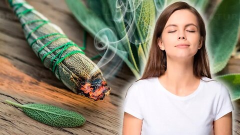 Burning Sage Can Clean The Air And Improve Your Health
