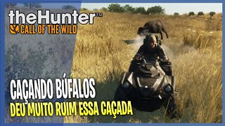 CAÇANDO BÚFALOS DE QUADRICICLO DEU MUITO RUIM THE HUNTER CALL OF THE WILD ONLINE