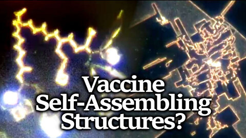 Australia Senator Confirms: COVID Vax Contains Nanotechnology; Self-Assembling Inside Humans