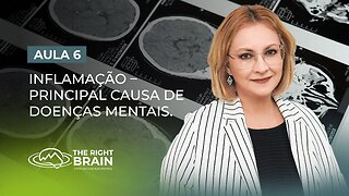 Aula 6/7 – Inflamação – Principal Causa de Doenças Mentais