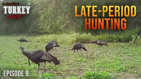 Late-Period Turkey Hunting | Turkey Addict Part 9