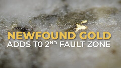 “Gold Hits at the JBP Fault” presented by New Found Gold Corp. (TSX-V: NFG; NYSE-A: NFGC)