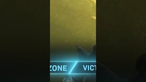 when your team comms are on point - warzone