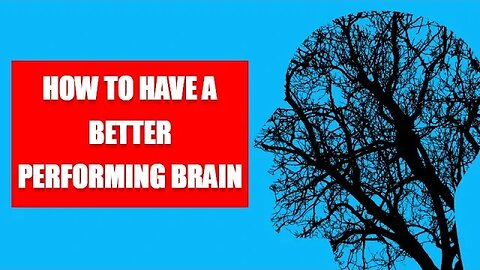 How to have a Better Performing Brain